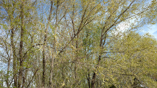 Park «Art Dye», reviews and photos, 550 E 1000 N, American Fork, UT 84003, USA