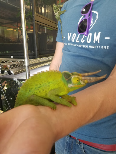 Reptile Store «Reptile Pets Direct», reviews and photos, 8088 Pat Booker Rd, Live Oak, TX 78233, USA