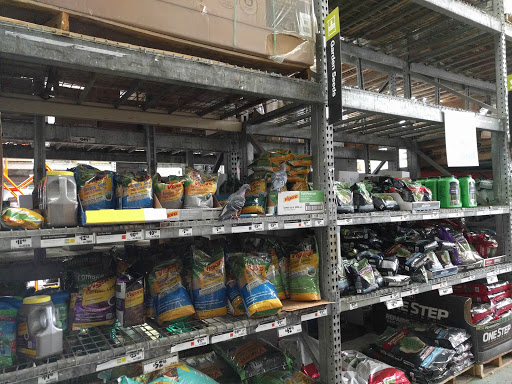 Home Improvement Store «The Home Depot», reviews and photos, 55 Weyman Ave, New Rochelle, NY 10805, USA