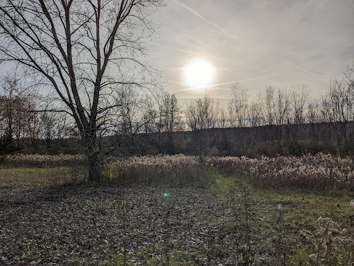 Bird Watching Area «Jelke Creek Bird Sanctuary», reviews and photos, Boncosky Rd, Dundee Township, IL 60118, USA