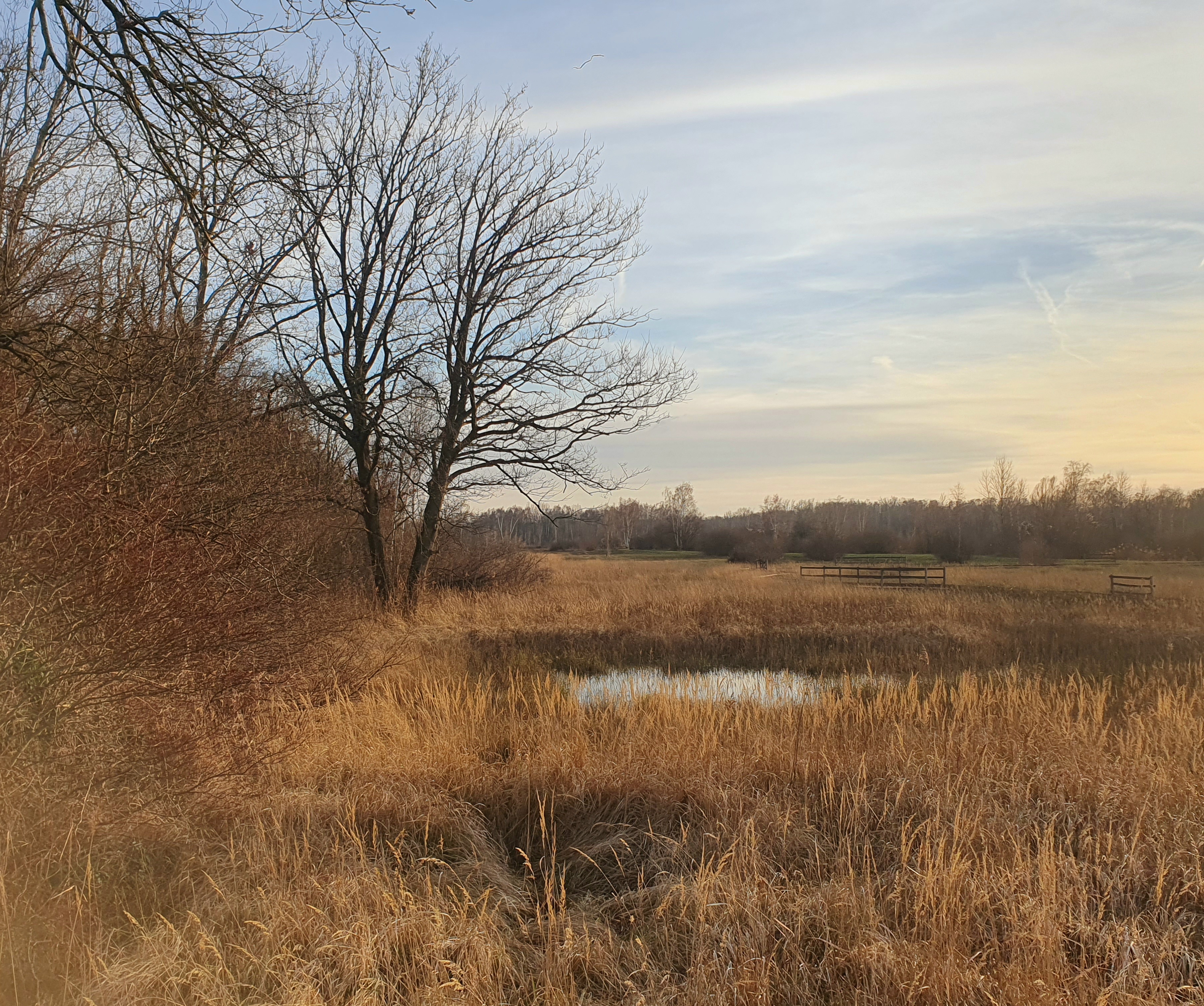 Photo n° 15 de l'avis de Albert.l fait le 27/01/2024 à 21:21