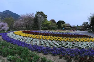 Fukuchi Sanroku Flower Park image