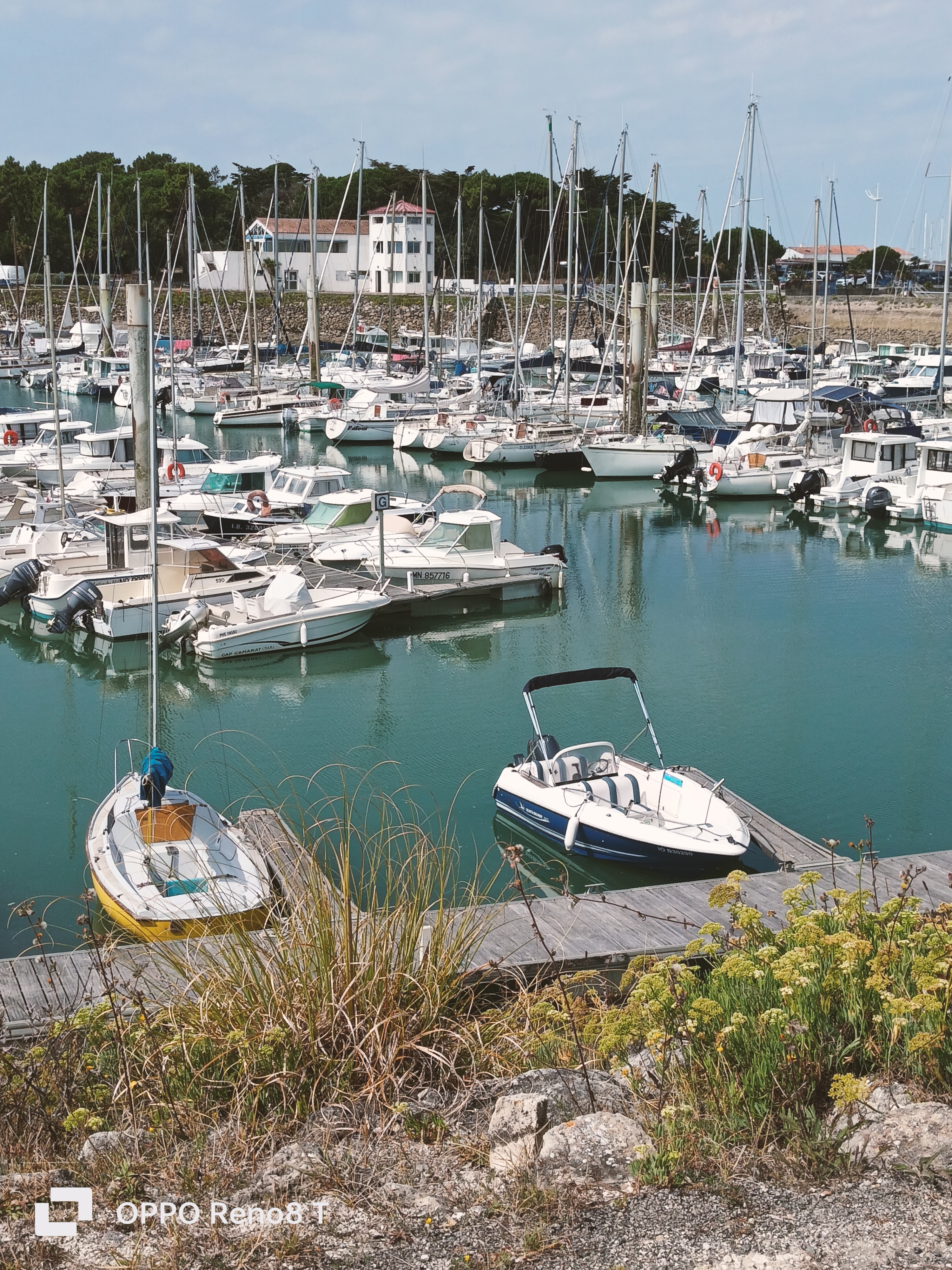 Photo n° 6 de l'avis de M-G. fait le 17/08/2023 à 12:46