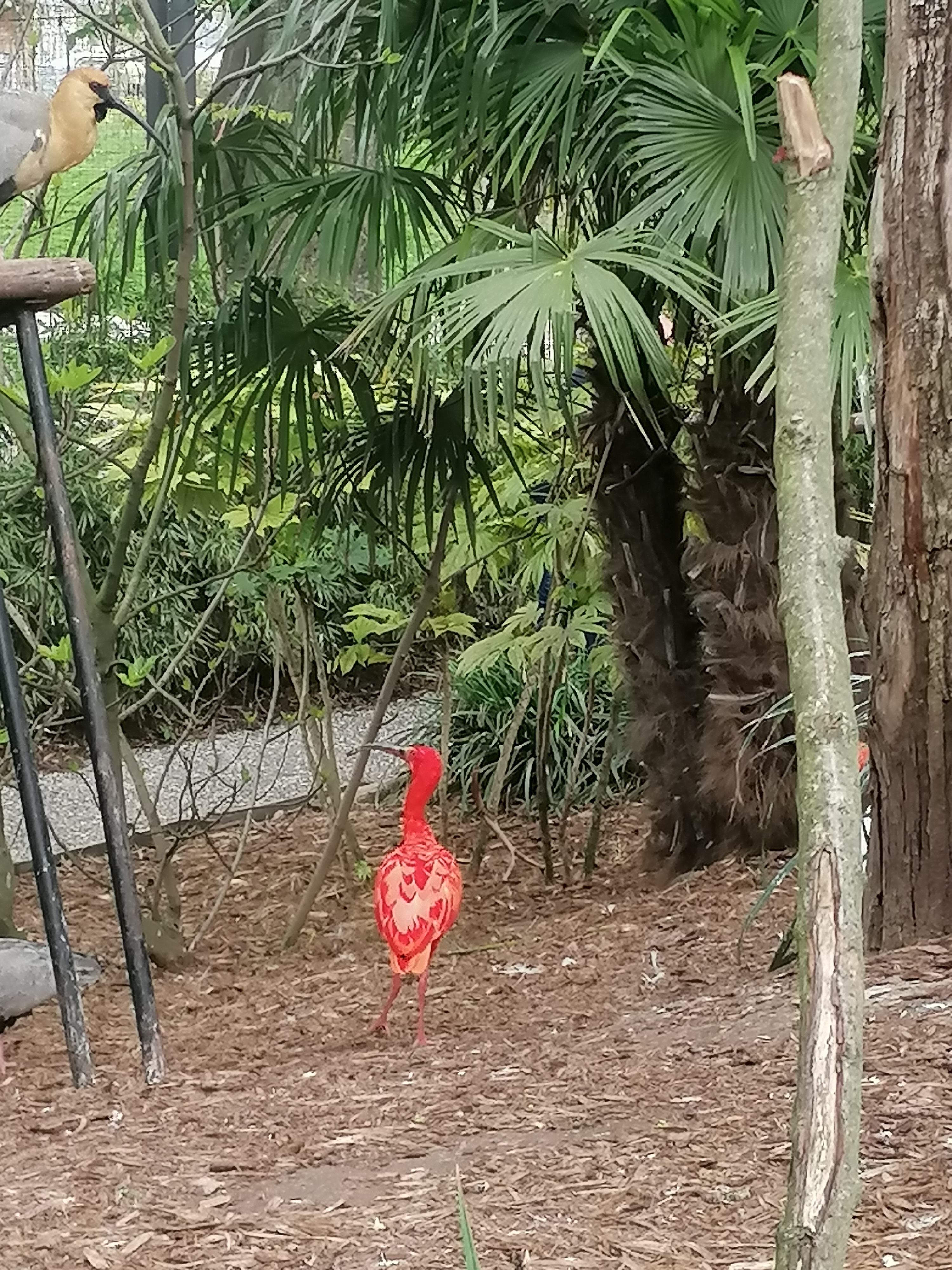 Photo n° 2 de l'avis de Emilie.e fait le 14/04/2022 à 21:02