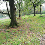 Photo n° 19 de l'avis de Nono.e fait le 06/11/2018 à 12:05 pour Zoo de Jurques à Dialan sur Chaîne