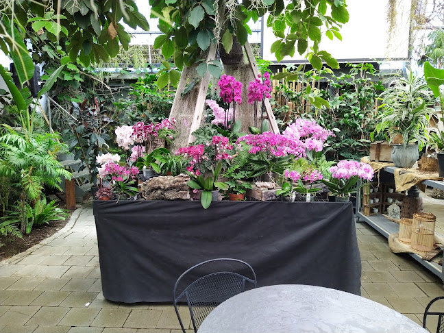 Orchideenhaus - Gartenbauer