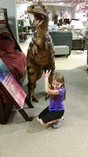 Furniture Store «Ashley HomeStore», reviews and photos, 1845 Carl D. Silver Parkway, Fredericksburg, VA 22401, USA