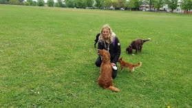 Tanya's Happy Hounds Dog Walking (Bournemouth Dorset)