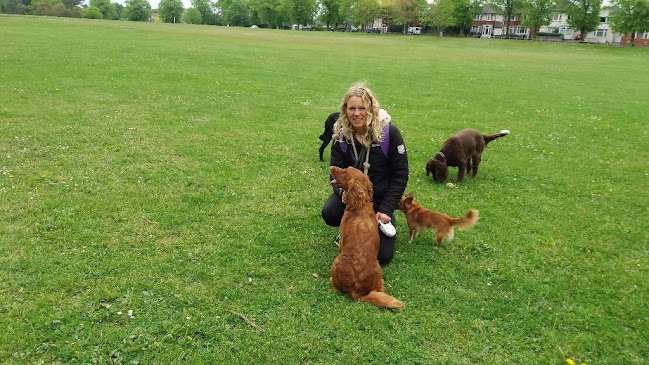 Tanya's Happy Hounds Dog Walking (Bournemouth Dorset)