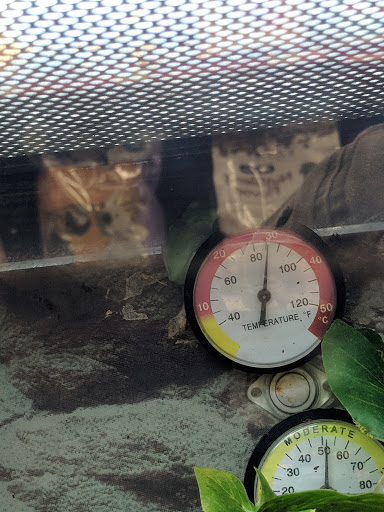 Pet Supply Store «Petco Animal Supplies», reviews and photos, 6418 S Staples St b, Corpus Christi, TX 78413, USA