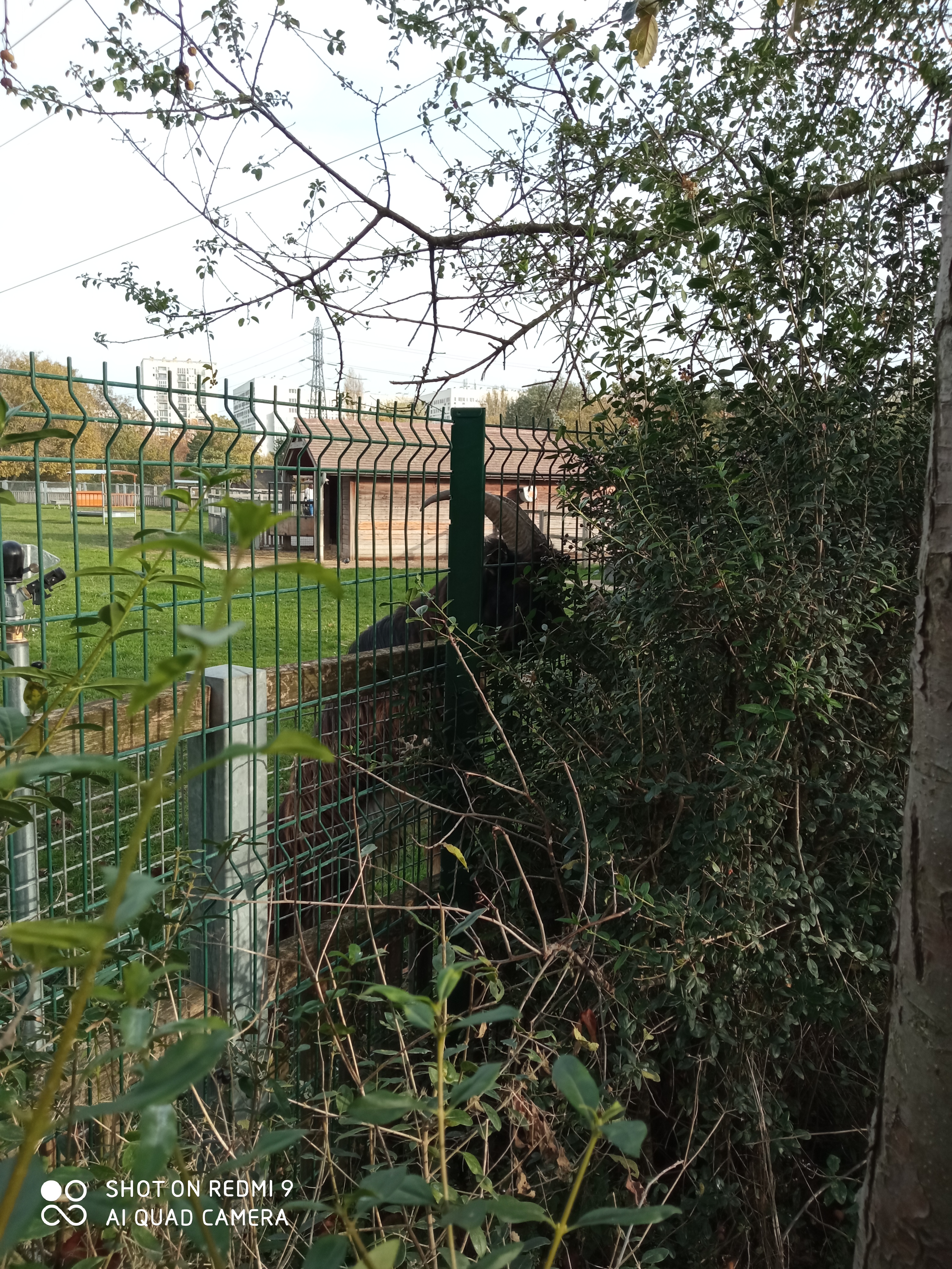 Photo n° 4 de l'avis de reseauoutremer.2 fait le 07/11/2020 à 18:39