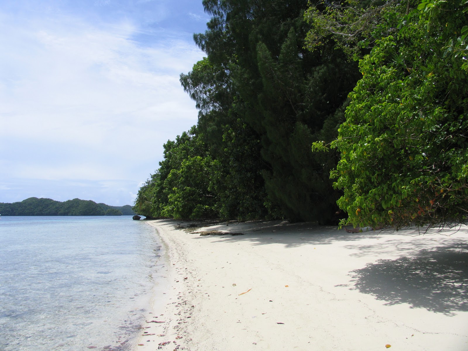 Rock Islands Beach的照片 带有白色细沙表面