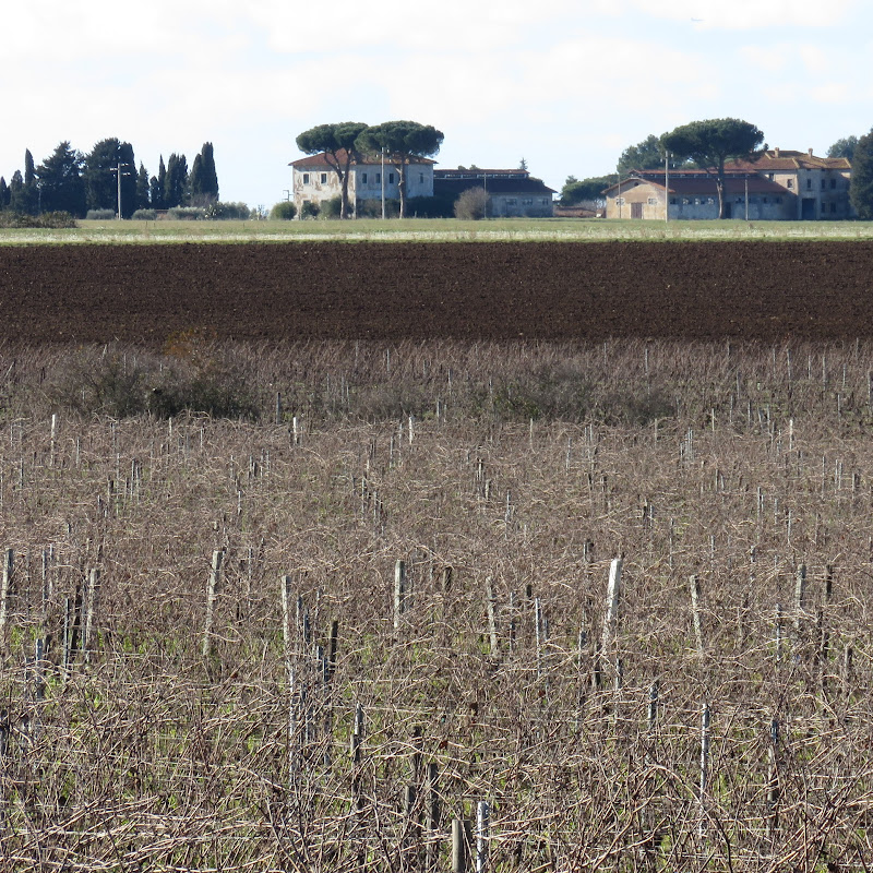 Azienda Agricola Biologica Riserva della Cascina