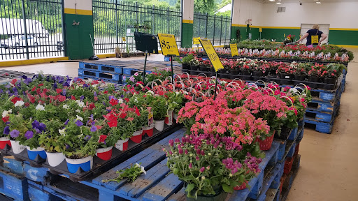 Produce Market «Produce Junction Inc», reviews and photos, 272 Pottstown Pike, Exton, PA 19341, USA