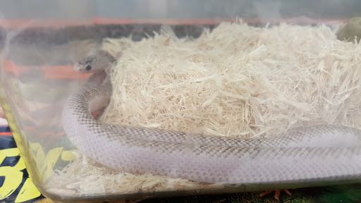 Pet Supply Store «Pet Depot», reviews and photos, 14236 US-431, Guntersville, AL 35976, USA