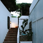 Photo n°13 de l'avis de Iman.l fait le 24/06/2019 à 13:06 sur le  Ristorante Il Melograno à Ponza