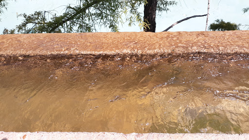 Park «Fort Worth Water Gardens», reviews and photos, 1502 Commerce St, Fort Worth, TX 76102, USA