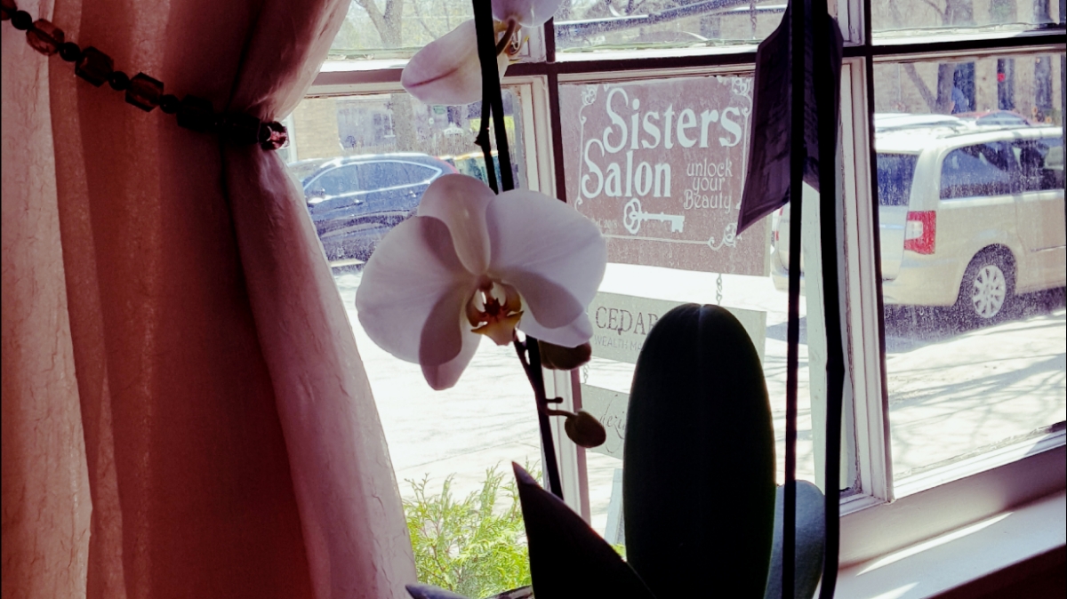 Sisters Salon and Spa