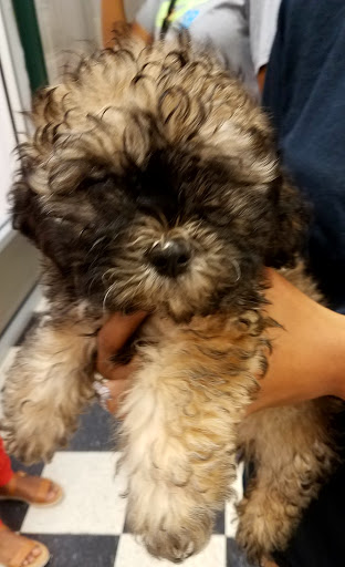 Pet Supply Store «Pets Plus», reviews and photos, 6419 University Ave, Lubbock, TX 79413, USA