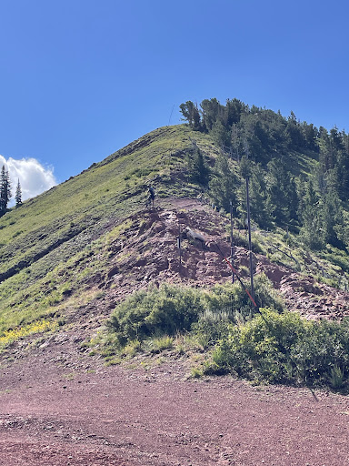 Wasatch Crest Trail