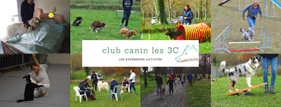 Club Canin Cintegabelle à Cintegabelle