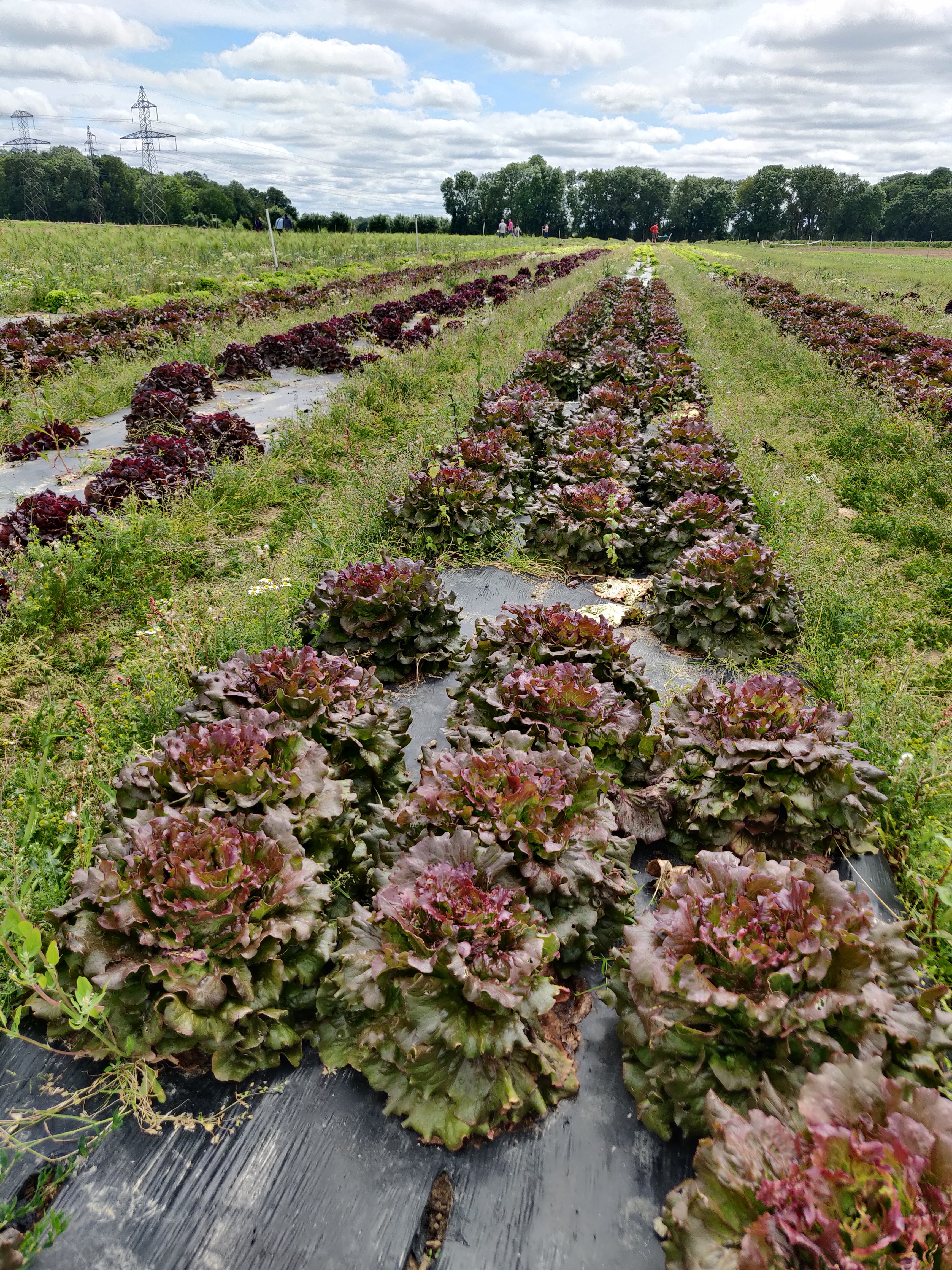 Photo n° 1 de l'avis de Sky.a fait le 23/06/2022 à 14:08