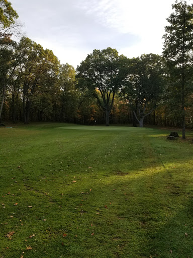 Golf Course «Carleton Glen Golf Club», reviews and photos, 13470 Grafton Rd, Carleton, MI 48117, USA