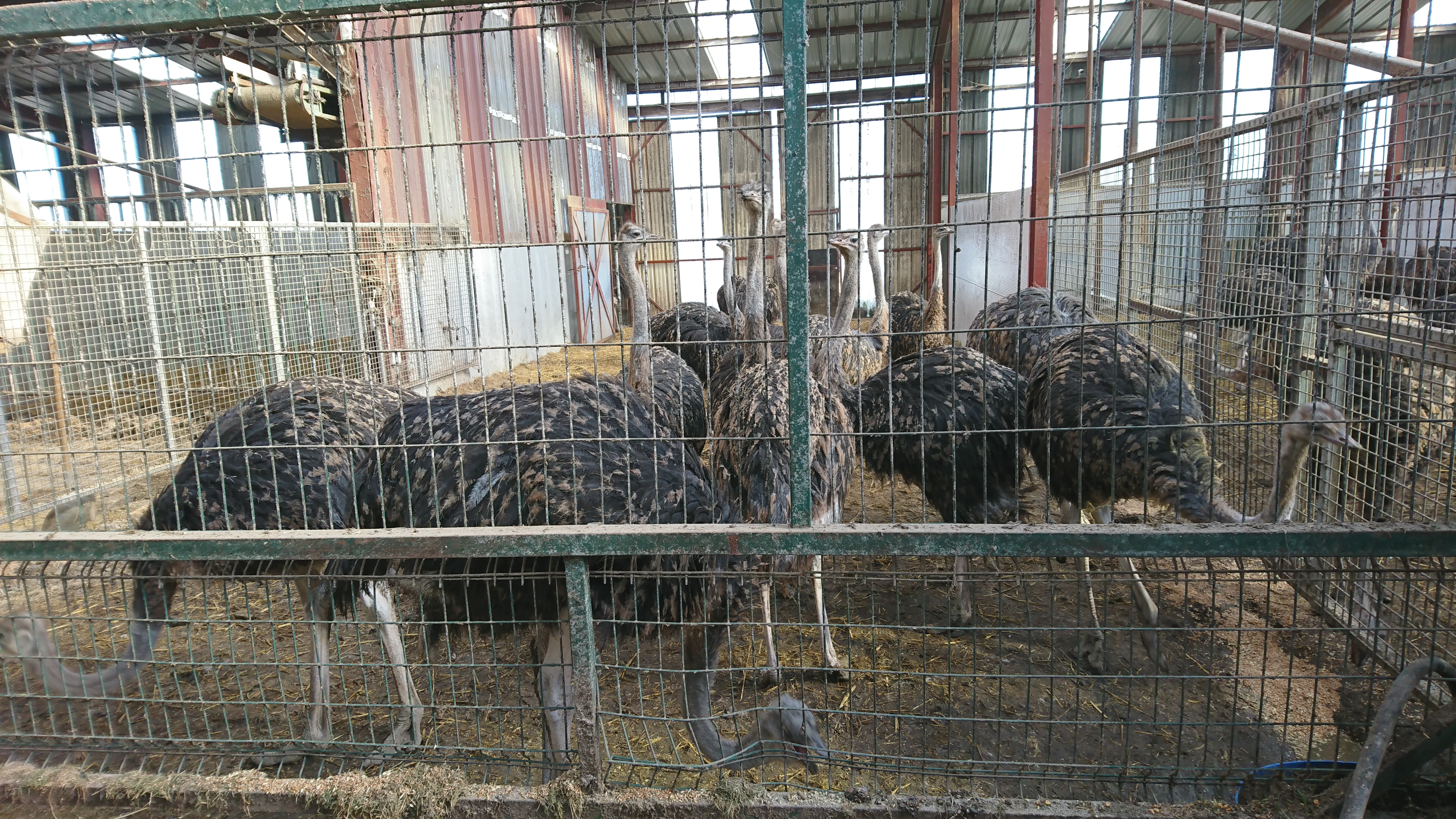 Photo n° 2 de l'avis de Lucienne.C fait le 26/02/2019 à 15:48