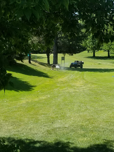 Golf Course «Birnamwood Golf Course», reviews and photos, 12424 Parkwood Dr, Burnsville, MN 55337, USA