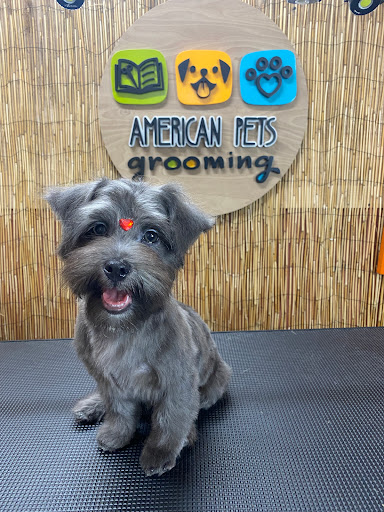 American pets grooming