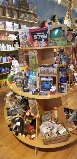 Toy Store «Treehouse Toys Ltd», reviews and photos, 47 Exchange St, Portland, ME 04101, USA