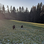 Photo n°2 de l'avis de Nini.n fait le 12/01/2024 à 12:49 sur le  Mönchs Waldhotel Kapfenhardter Mühle à Unterreichenbach