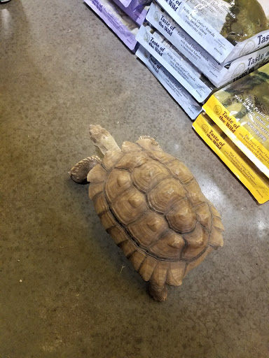 Pet Store «Critter Cabana - Wilsonville», reviews and photos, 8406 SW Main St #200, Wilsonville, OR 97070, USA