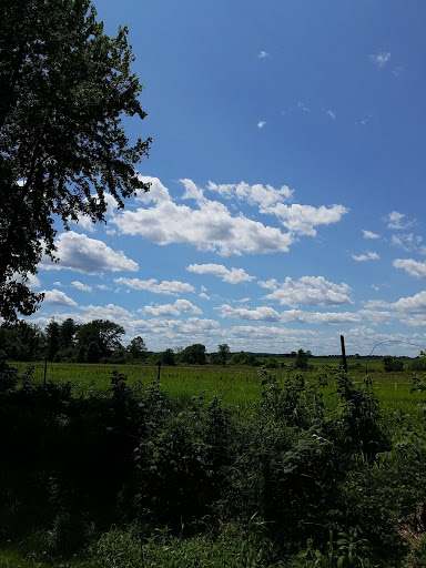 Nature Preserve «Lebanon Valley Rails To Trails, Lawn Trailhead», reviews and photos, Lebanon Valley Rail-Trail, Palmyra, PA 17078, USA