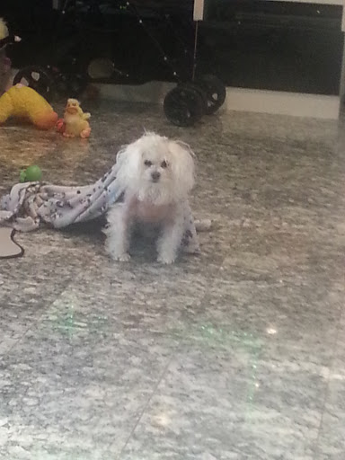 Park «Newbridge Rd Park», reviews and photos, 2600 Newbridge Rd, Bellmore, NY 11710, USA