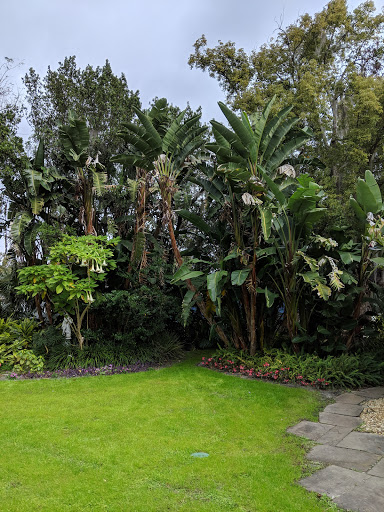 Park «Donnelly Park», reviews and photos, 530 N Donnelly St, Mt Dora, FL 32757, USA