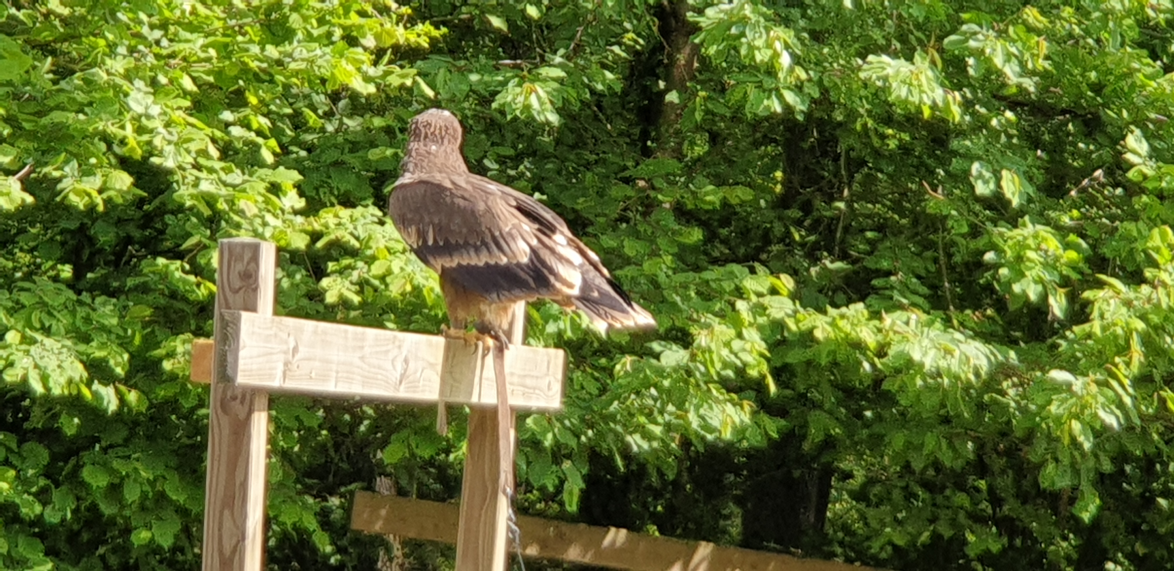 Photo n° 22 de l'avis de Dominique.A fait le 05/05/2022 à 18:02