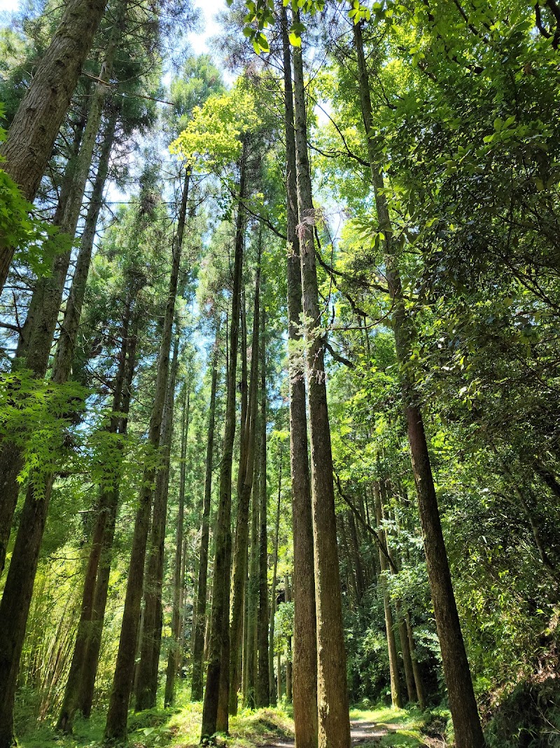 長野滝 (ながののたき)