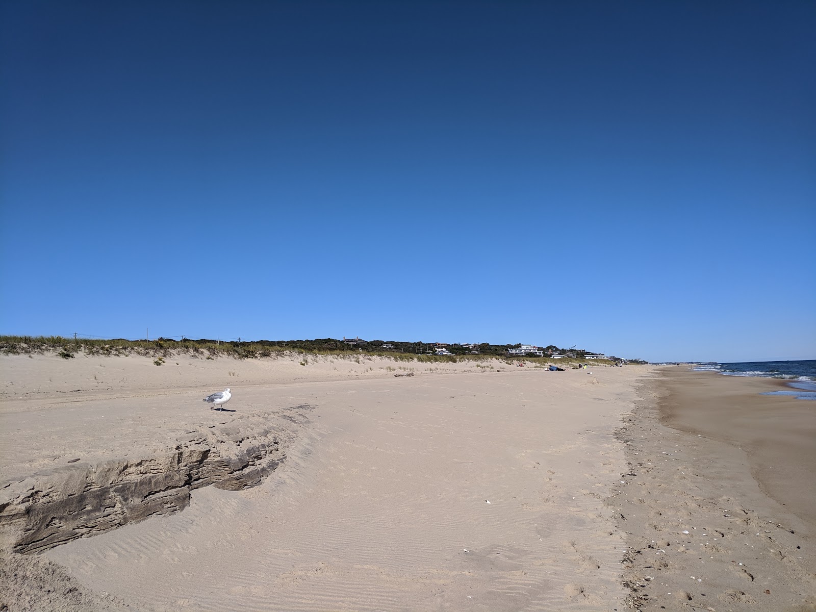 Hither Hills Beach'in fotoğrafı geniş plaj ile birlikte