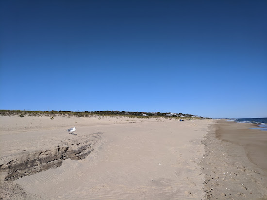 Hither Hills Beach