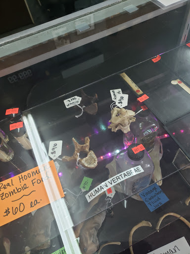 Boutique «Spoox : A Spooky Bootique», reviews and photos, 3453 State St, Salt Lake City, UT 84115, USA