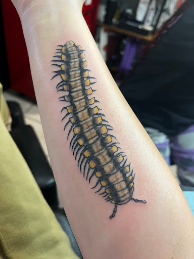 Explore women's arm sleeve tattoo ideas, creative tattoo ideas in Round Rock, available at Supernova Tattoo Parlour