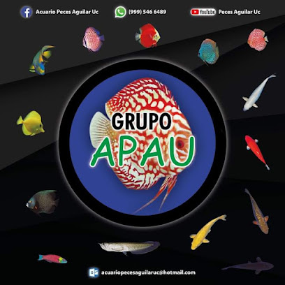Grupo APAU 'Acuario Peces Aguilar Uc'