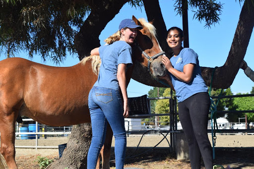 Dude ranch Long Beach