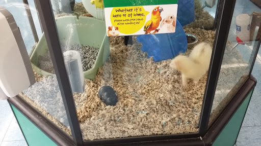 Pet Supply Store «Pet Supplies Plus», reviews and photos, 1150 N Court St #2A, Medina, OH 44256, USA