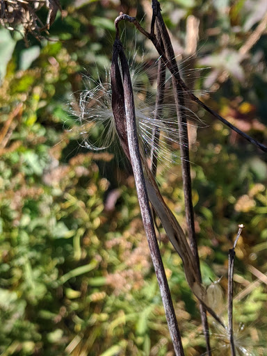 Nature Preserve «Rancocas Nature Center», reviews and photos, 794 Rancocas Mt Holly Rd, Westampton, NJ 08060, USA