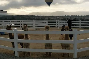 The Alpaca Hacienda, by Appointment ONLY image