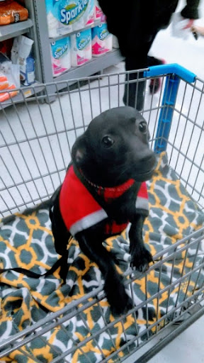 Supermarket «Lucky», reviews and photos, 270 Reservation Rd, Marina, CA 93933, USA