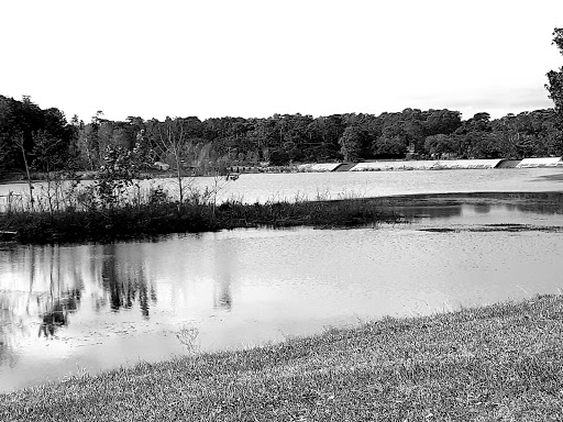 Park «Municipal (Langan) Park», reviews and photos, 4901 Zeigler Blvd, Mobile, AL 36608, USA