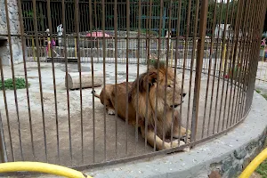 The zoo in the children's park image